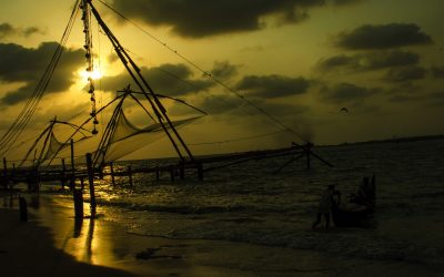 Kerala - Chinese Fishing nets