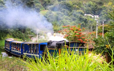 Tamilnadu Nilgiri Mountain Railway