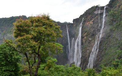 Karnataka - Jog Waterfall